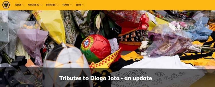 狼队官方：热身赛主场对塞尔塔以及对曼城的英超比赛将缅怀若塔