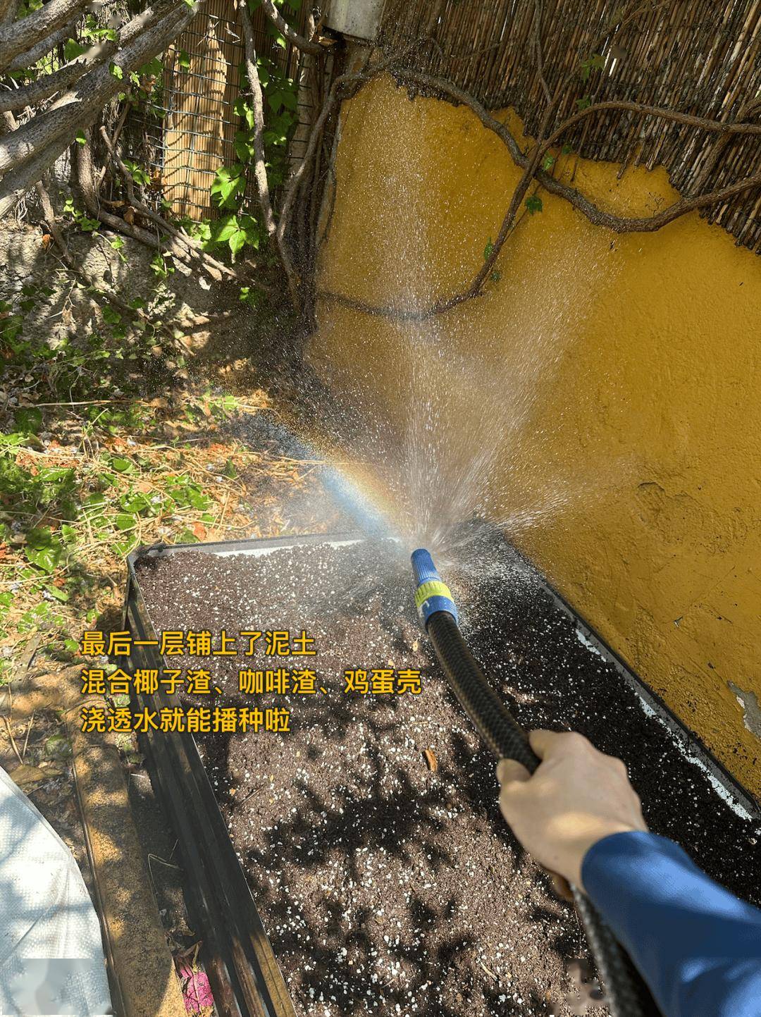 旅居巴塞罗那:为什么我宁愿花钱旅行,而不是存钱买房?