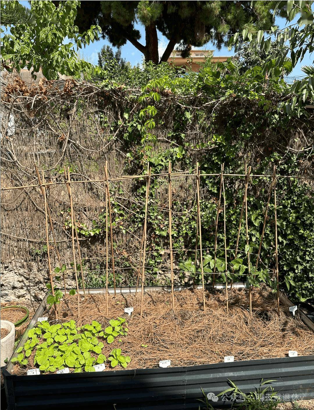 旅居巴塞罗那:为什么我宁愿花钱旅行,而不是存钱买房?